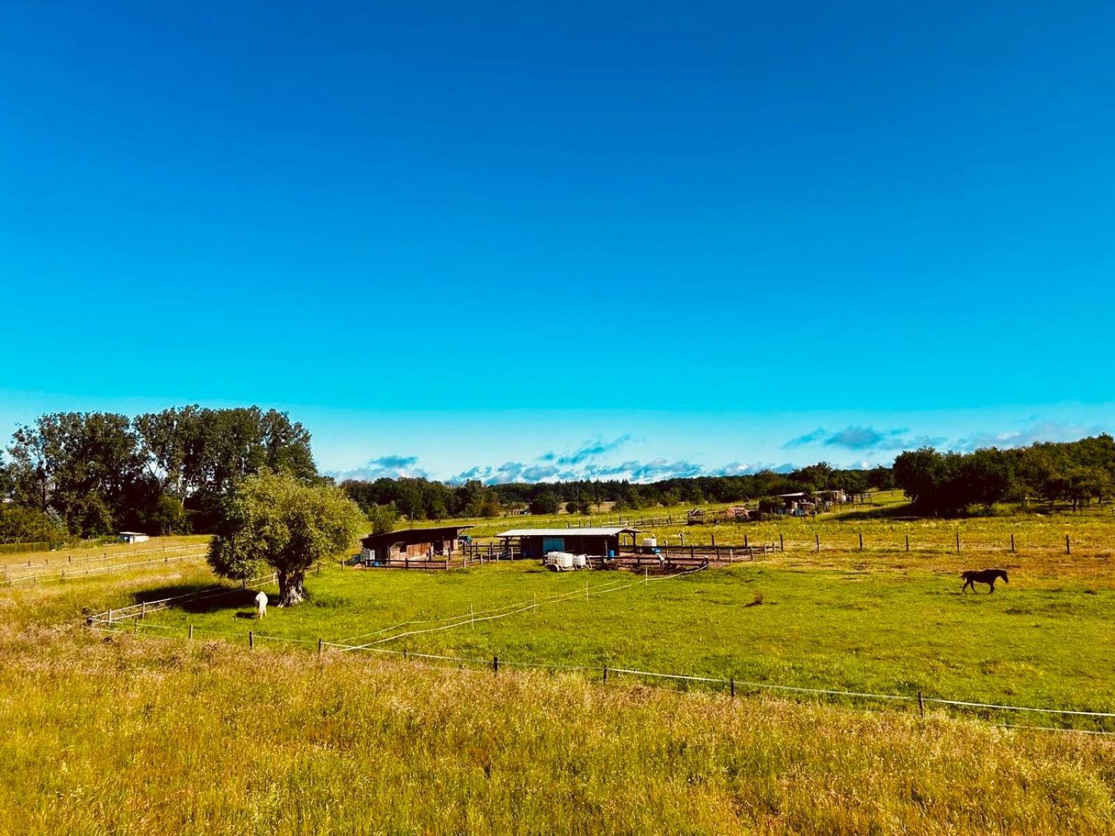La Clef Des Songes Bed and Breakfast Merzmuhler Εξωτερικό φωτογραφία
